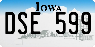 IA license plate DSE599