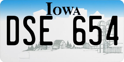 IA license plate DSE654
