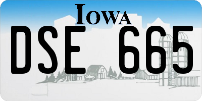 IA license plate DSE665