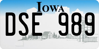 IA license plate DSE989