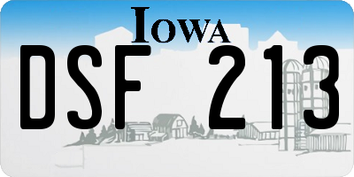 IA license plate DSF213