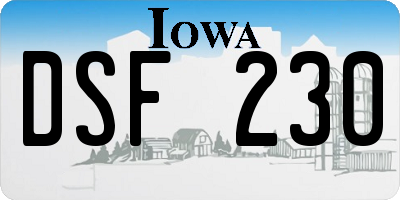 IA license plate DSF230