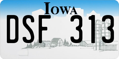 IA license plate DSF313