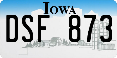 IA license plate DSF873