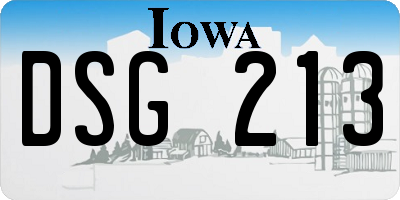IA license plate DSG213