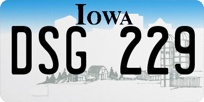 IA license plate DSG229