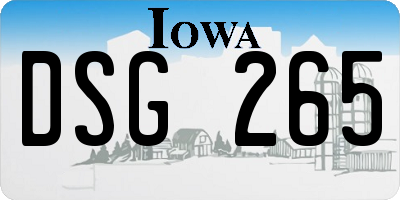 IA license plate DSG265