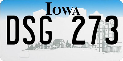 IA license plate DSG273