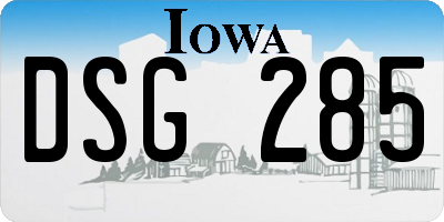 IA license plate DSG285