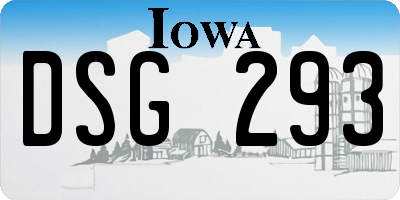IA license plate DSG293