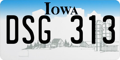 IA license plate DSG313