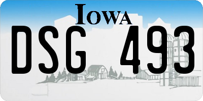 IA license plate DSG493