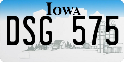 IA license plate DSG575