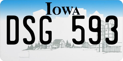 IA license plate DSG593