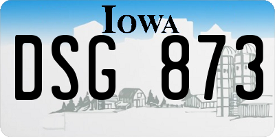 IA license plate DSG873