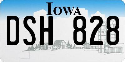 IA license plate DSH828
