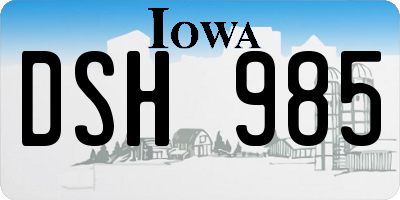 IA license plate DSH985