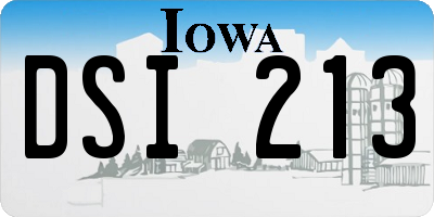 IA license plate DSI213