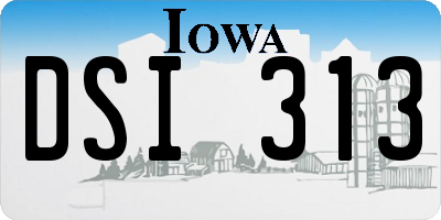 IA license plate DSI313