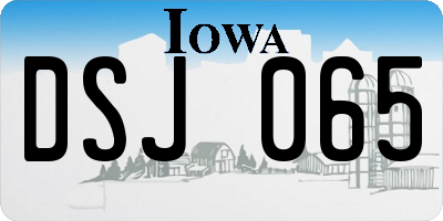IA license plate DSJ065
