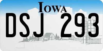 IA license plate DSJ293