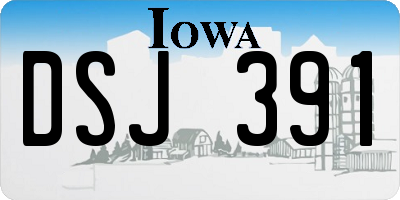 IA license plate DSJ391