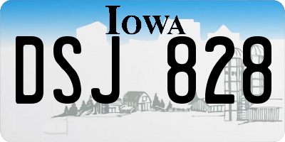 IA license plate DSJ828