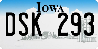 IA license plate DSK293