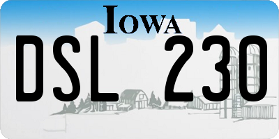 IA license plate DSL230