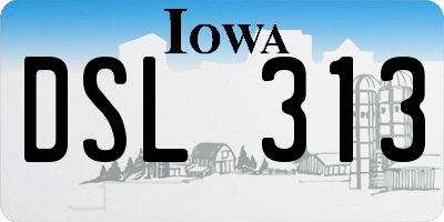IA license plate DSL313