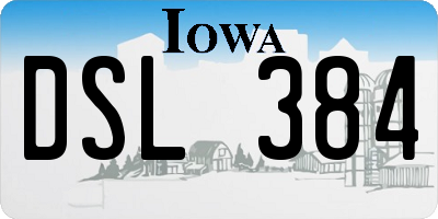 IA license plate DSL384