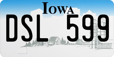 IA license plate DSL599