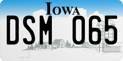 IA license plate DSM065