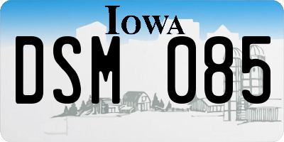 IA license plate DSM085