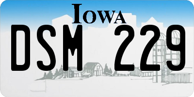 IA license plate DSM229