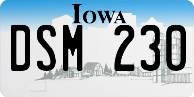 IA license plate DSM230