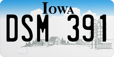 IA license plate DSM391