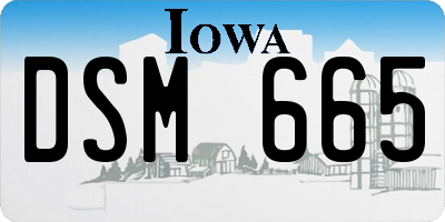IA license plate DSM665