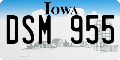 IA license plate DSM955