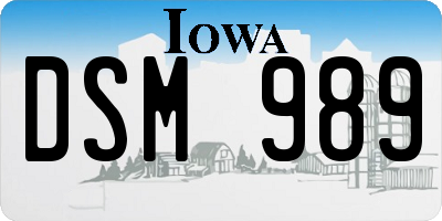 IA license plate DSM989