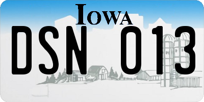 IA license plate DSN013