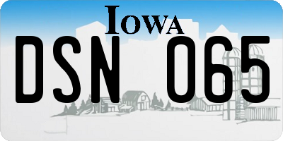 IA license plate DSN065