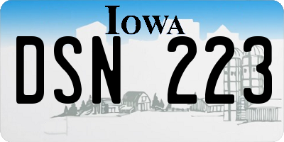 IA license plate DSN223