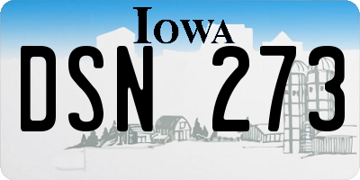 IA license plate DSN273