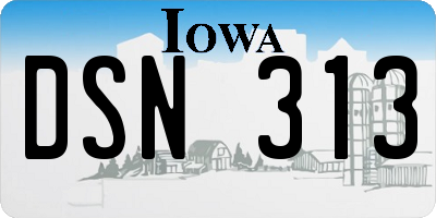 IA license plate DSN313