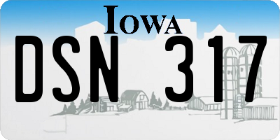 IA license plate DSN317