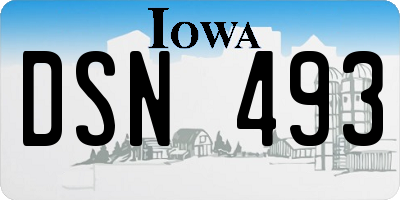 IA license plate DSN493