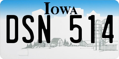 IA license plate DSN514
