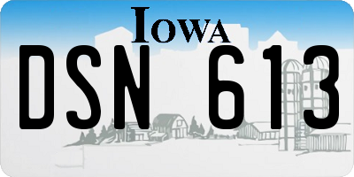 IA license plate DSN613