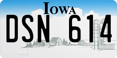 IA license plate DSN614